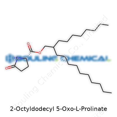 2-Octyldodecyl 5-Oxo-L-Prolinate