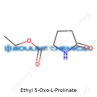Ethyl 5-Oxo-L-Prolinate